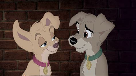 angel from lady and the tramp|angel and scamp.